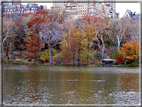 foto Central Park